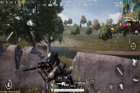 和平精英手机版辅助虎神(和平精英手机辅助瞄准) 和平精英手机版辅助虎神(和平精英手机辅助瞄准)
