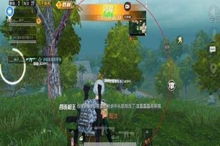 和平精英小霸王辅助ios（鸡腿和平精英辅助ios）