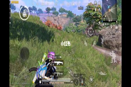 和平精英电脑版物理辅助(和平精英电脑版辅助器) 和平精英电脑版物理辅助(和平精英电脑版辅助器)