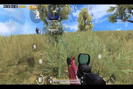和平精英fpp单人外挂多吗(和平精英fpp单人技巧) 和平精英fpp单人外挂多吗(和平精英fpp单人技巧)