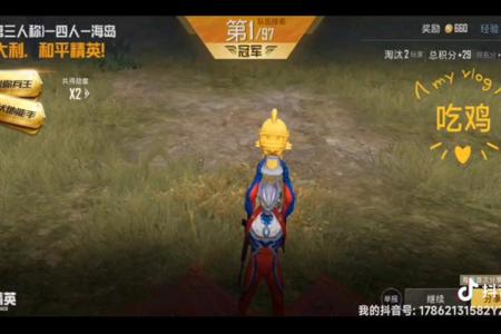 和平精英辅助带人怎么玩(和平精英辅助瞄准怎么关) 和平精英辅助带人怎么玩(和平精英辅助瞄准怎么关)